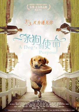 中文在线免费视频