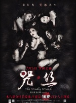 达人美贤