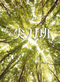 欧洲日韩视频二区在线