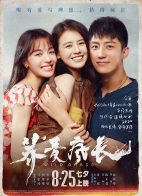美女伊人
