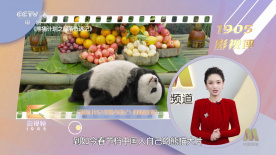 成人免费福利电影